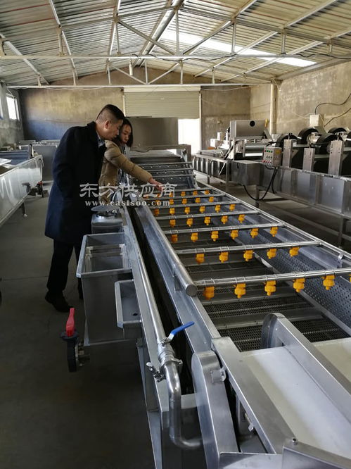 番茄網(wǎng)帶清洗機(jī)多少錢 諸城利特食品機(jī)械公司 番茄網(wǎng)帶清洗機(jī)圖片