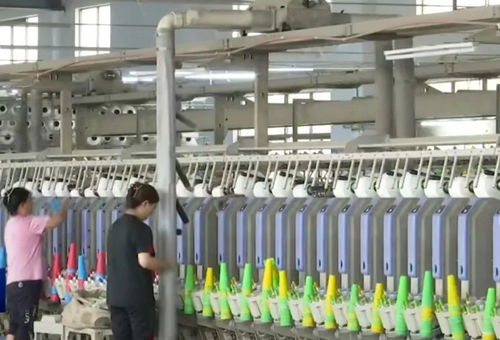 阜寧 智能制造引領 專精特新 梯隊